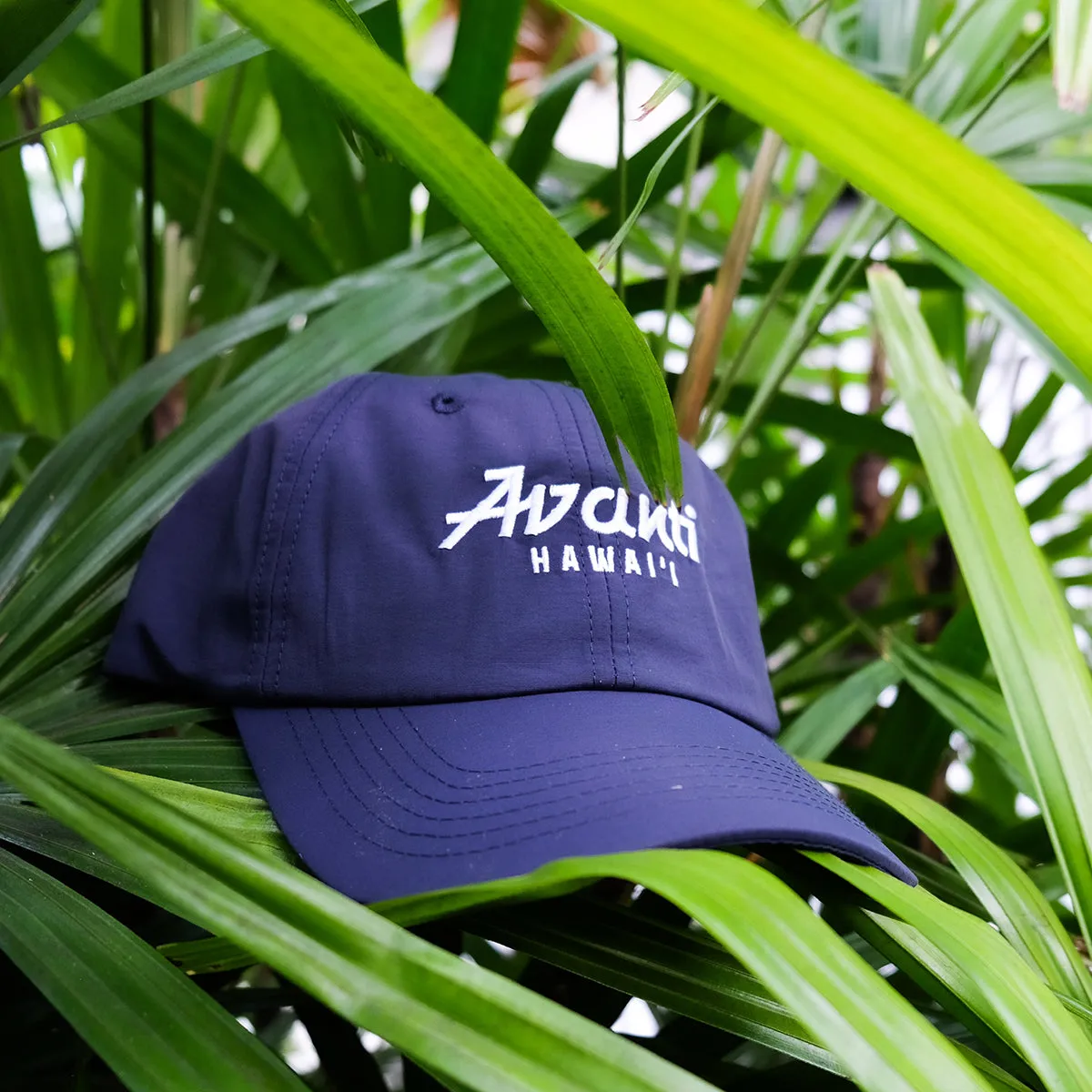 Avanti Logo Cap - Navy