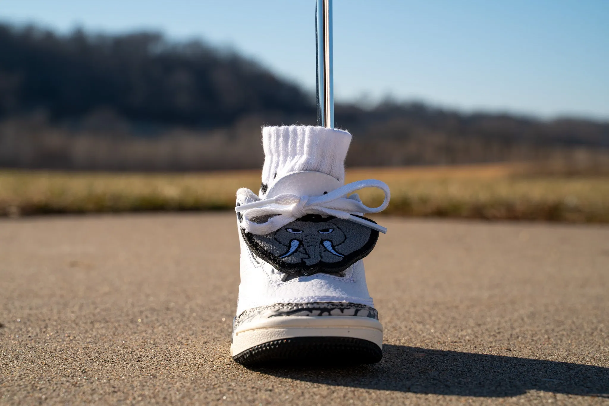 Jordan 3 Retro [HIDE N SNEAK] Standing Sneaker Putter Cover