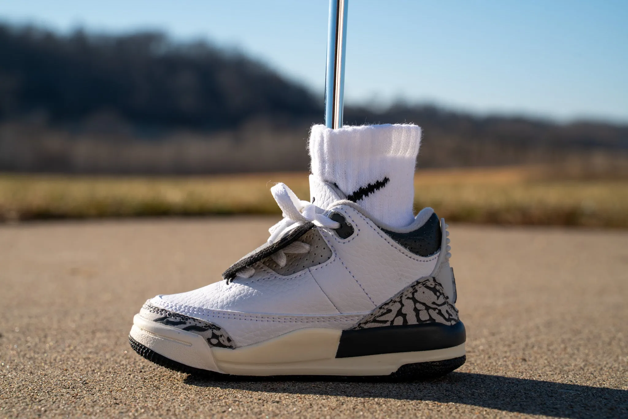 Jordan 3 Retro [HIDE N SNEAK] Standing Sneaker Putter Cover