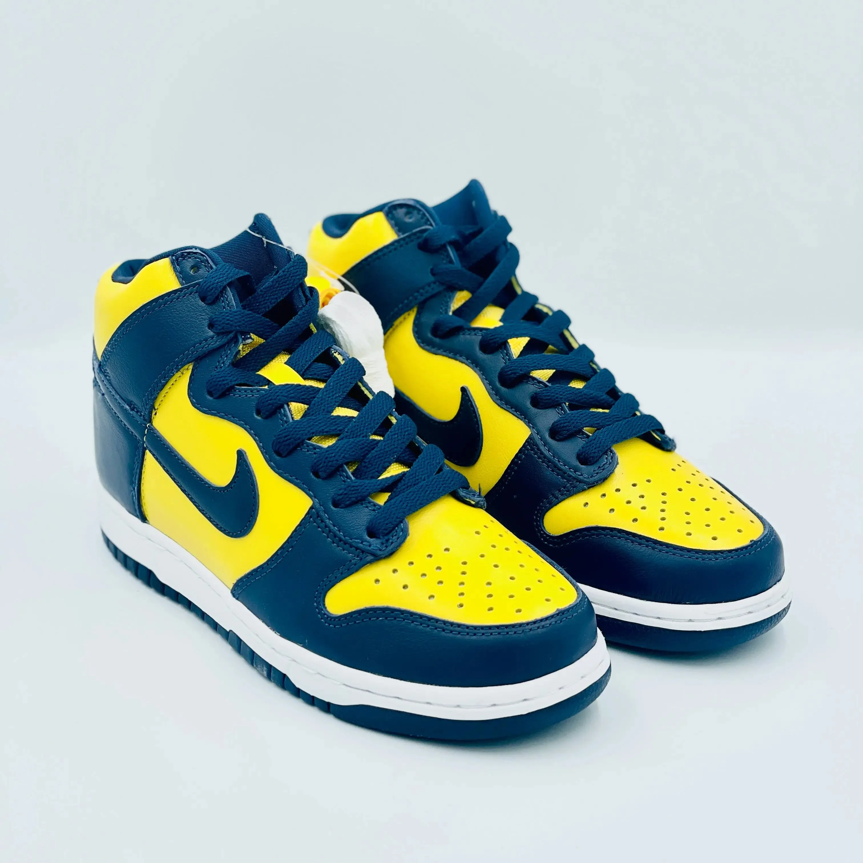 Nike Dunk High Michigan