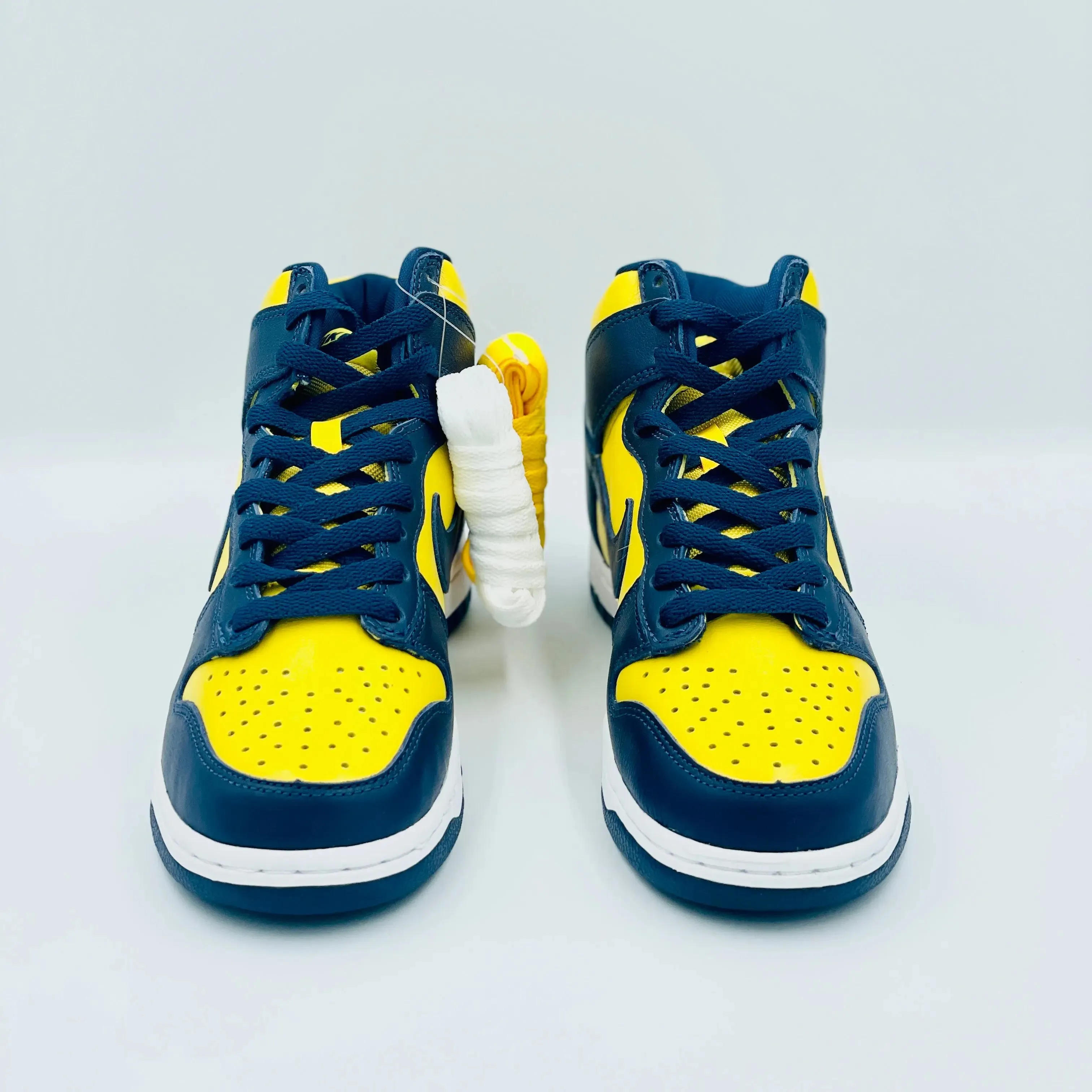 Nike Dunk High Michigan