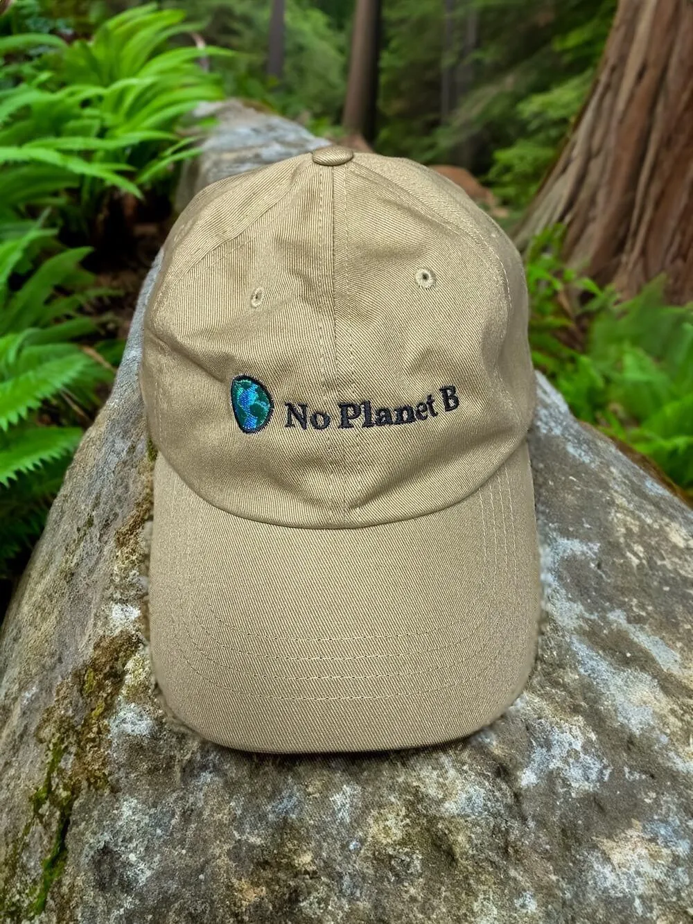 No Planet B Embroidered Dad Hat