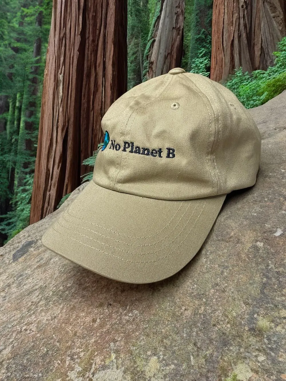 No Planet B Embroidered Dad Hat