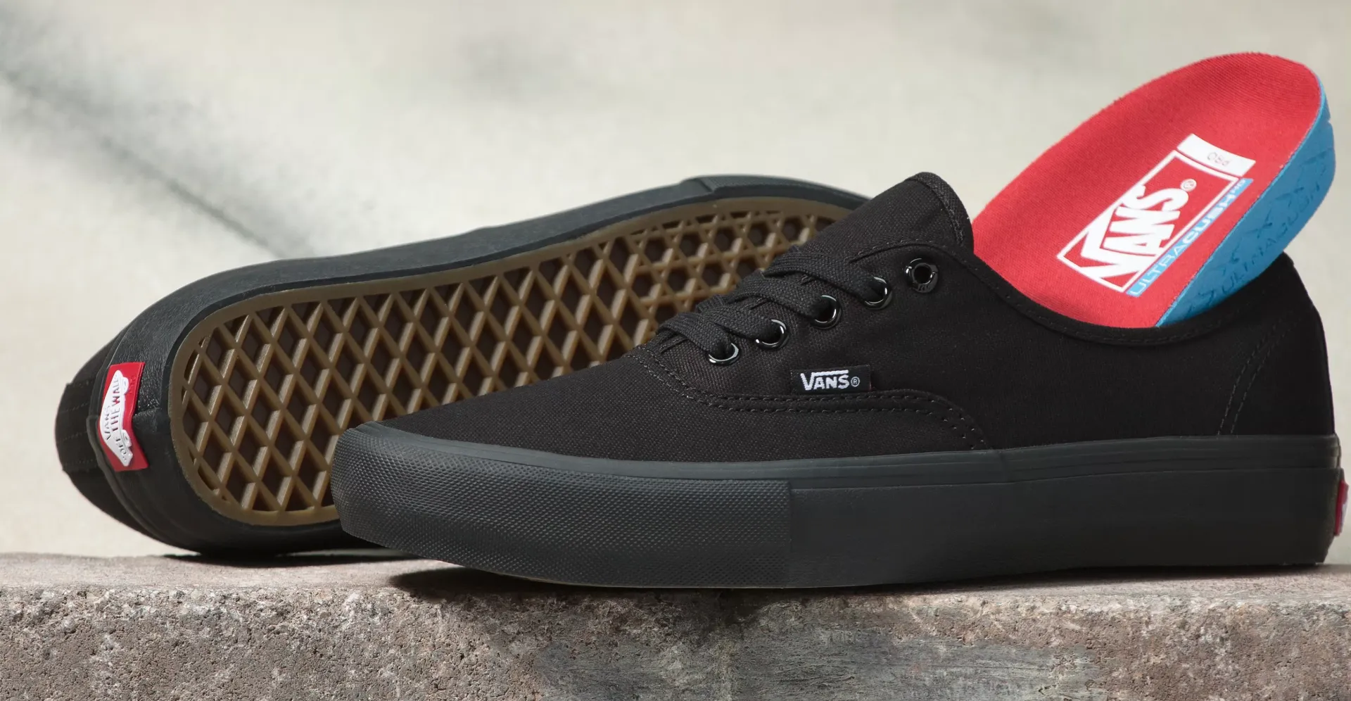 Vans Authentic Pro Black/Black Shoes